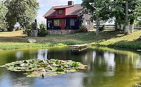 House In Nature